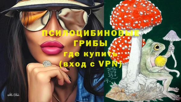 индика Вязьма