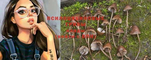 прущая мука Вяземский