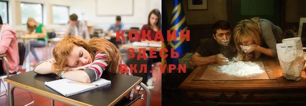 индика Вязьма