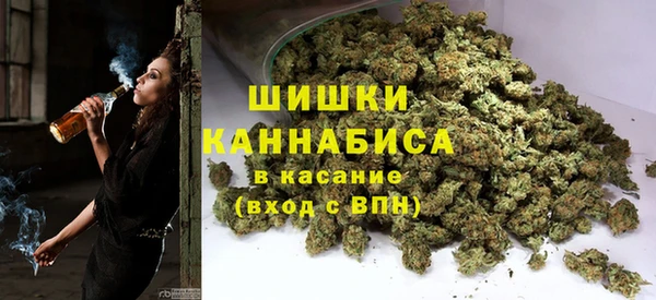 мдпв Горняк