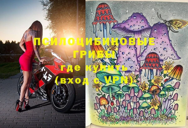 мдпв Горняк