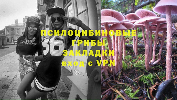 прущая мука Вяземский