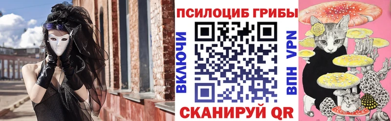 Купить где  Красный Сулин  Псилоцибиновые грибы Psilocybe 
